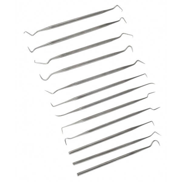 12 Piece Stainless Steel Dental Probe Set
