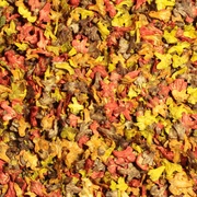 Little Leaf Company