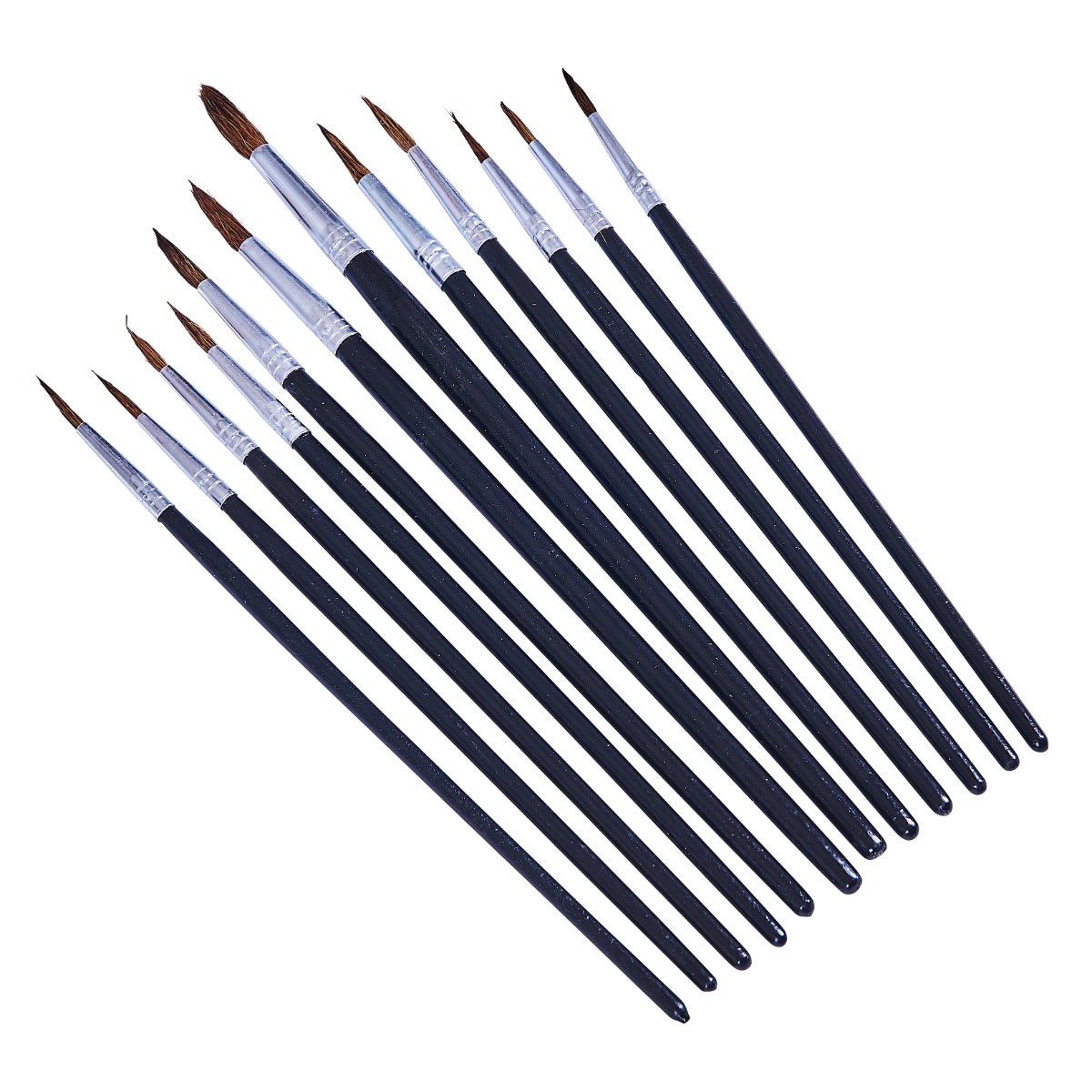 L/C 12 PC Artist P/Brush Set Pointed