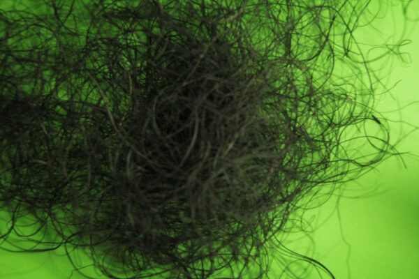 Green Scene Coarse Foliage Fibre