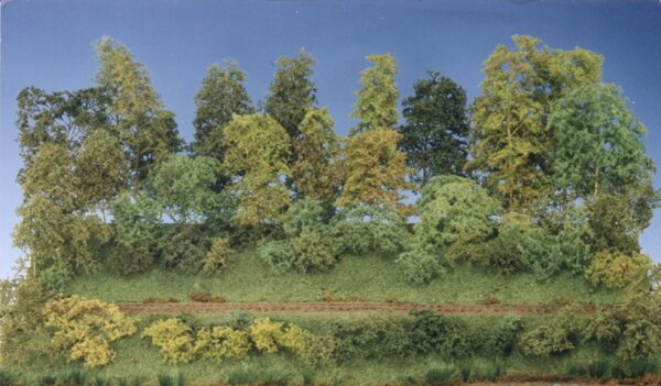 Green Scene Forest in a Box