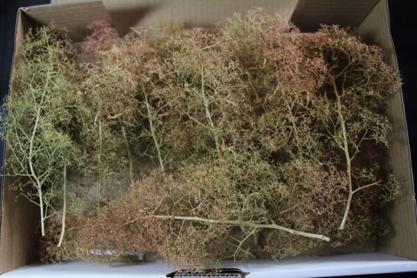 Green Scene Forest in a Box