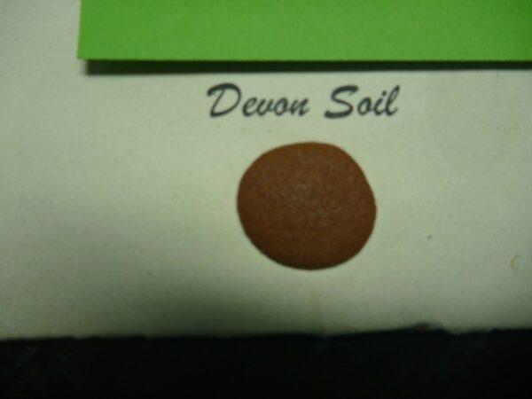 Green Scene Textured Paint - Devon Soil